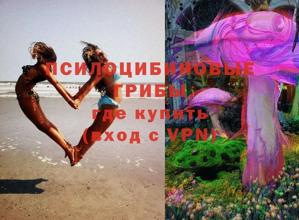 индика Иннополис