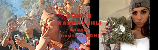 индика Иннополис