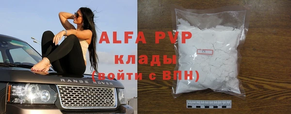 сатива Инсар