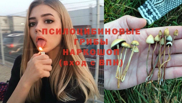 меф Каменка