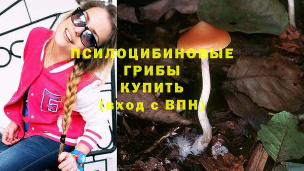 тгк Каменногорск