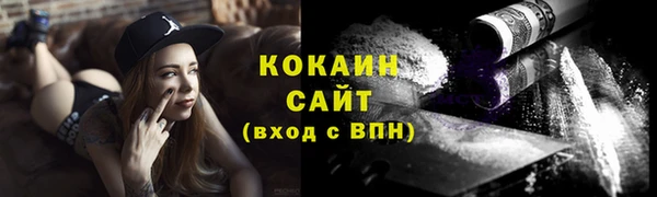 сатива Инсар
