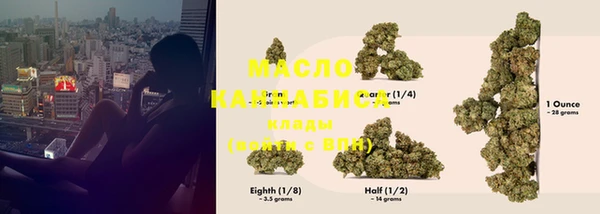 индика Иннополис