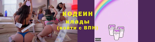 индика Иннополис
