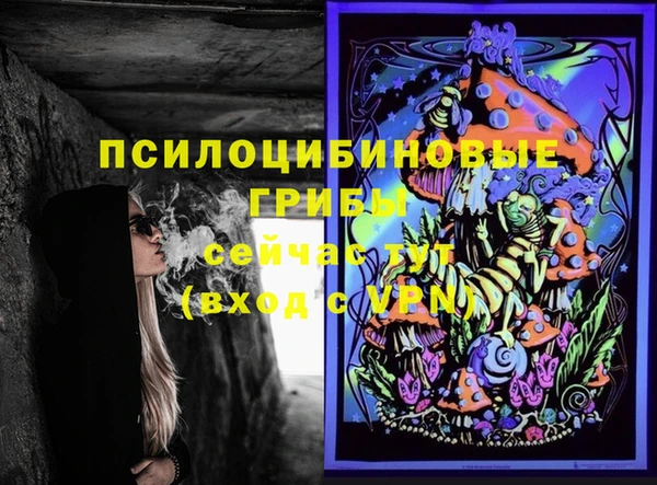марки lsd Инта