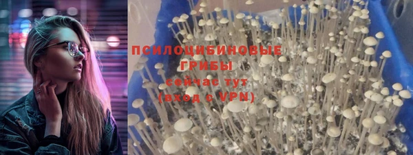 сатива Инсар