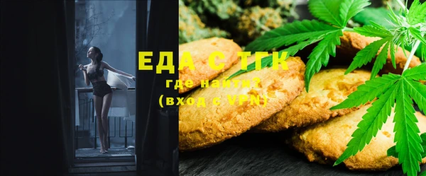 индика Иннополис