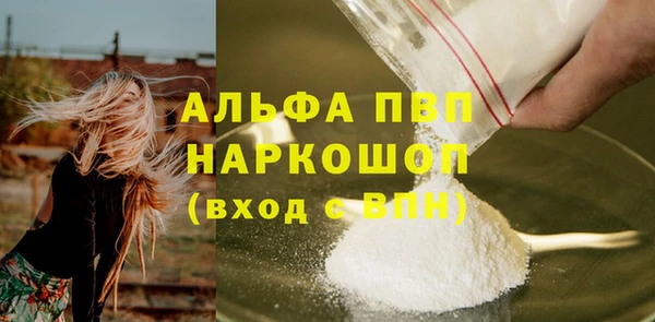 сатива Инсар