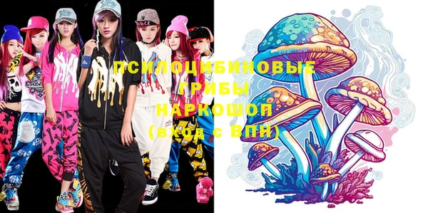 индика Иннополис