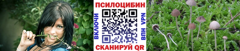 Купить закладки  Мамадыш  Галлюциногенные грибы Cubensis 